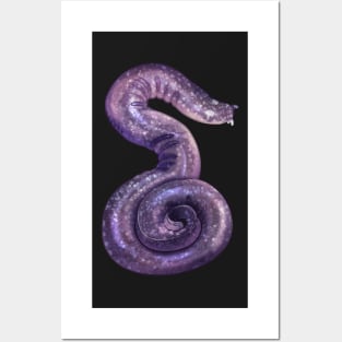 Cozy Hagfish Posters and Art